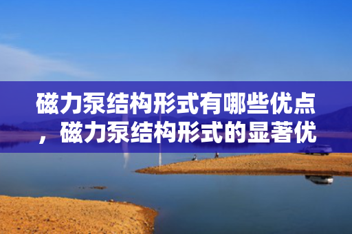磁力泵结构形式有哪些优点，磁力泵结构形式的显著优势：高效、安全、无泄漏