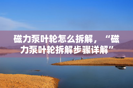 磁力泵叶轮怎么拆解，“磁力泵叶轮拆解步骤详解”