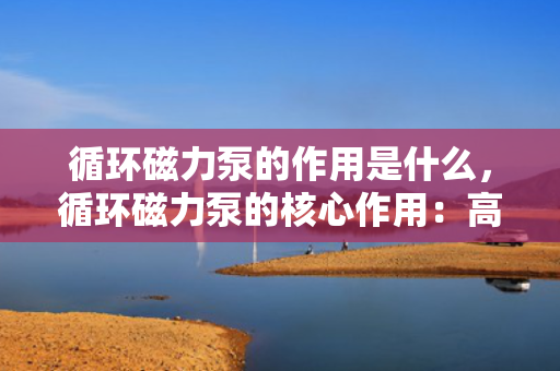 循环磁力泵的作用是什么，循环磁力泵的核心作用：高效无泄漏的流体传输解决方案