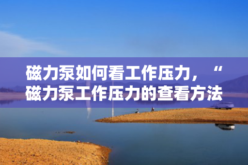 磁力泵如何看工作压力，“磁力泵工作压力的查看方法与步骤”