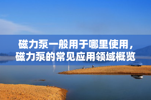 磁力泵一般用于哪里使用，磁力泵的常见应用领域概览