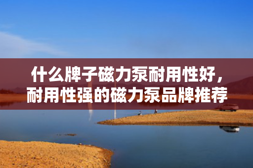什么牌子磁力泵耐用性好，耐用性强的磁力泵品牌推荐