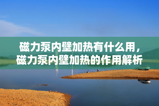 磁力泵内壁加热有什么用，磁力泵内壁加热的作用解析：提升效率与稳定性，降低故障风险