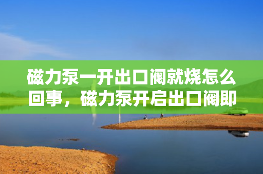 磁力泵一开出口阀就烧怎么回事，磁力泵开启出口阀即烧毁：可能原因及解决方案探讨
