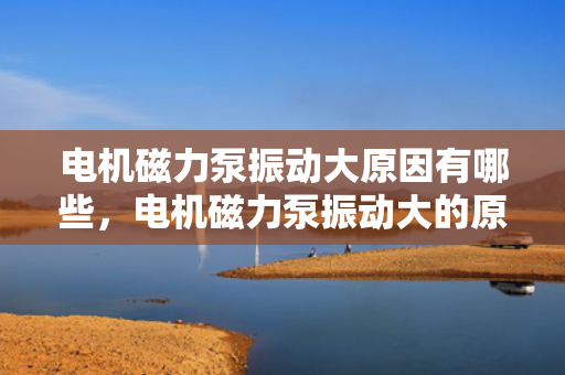 电机磁力泵振动大原因有哪些，电机磁力泵振动大的原因解析