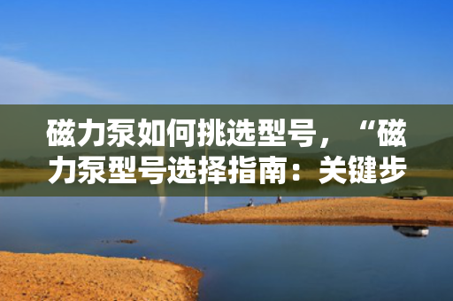 磁力泵如何挑选型号，“磁力泵型号选择指南：关键步骤与要点解析”