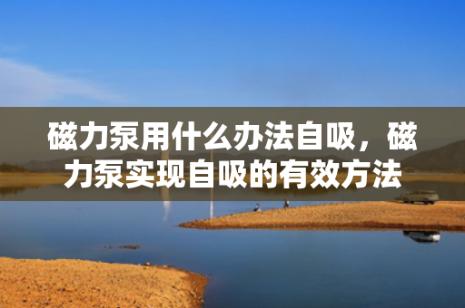 磁力泵用什么办法自吸，磁力泵实现自吸的有效方法