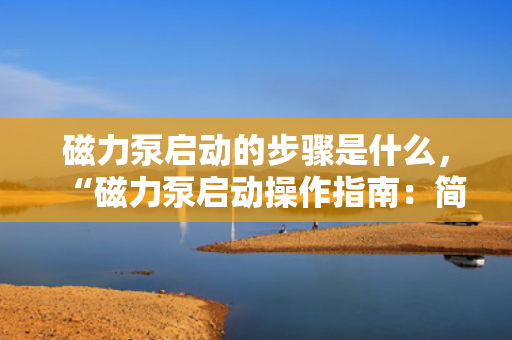 磁力泵启动的步骤是什么，“磁力泵启动操作指南：简单易懂的步骤解析”