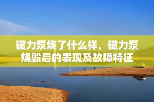 磁力泵烧了什么样，磁力泵烧毁后的表现及故障特征