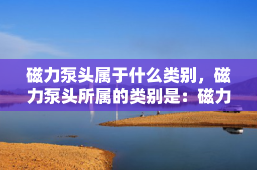 磁力泵头属于什么类别，磁力泵头所属的类别是：磁力驱动泵的关键部件或磁力泵组件