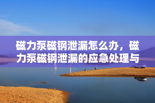 磁力泵磁钢泄漏怎么办，磁力泵磁钢泄漏的应急处理与解决方案