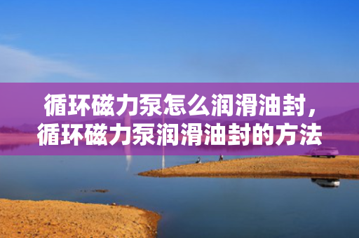 循环磁力泵怎么润滑油封，循环磁力泵润滑油封的方法与技巧