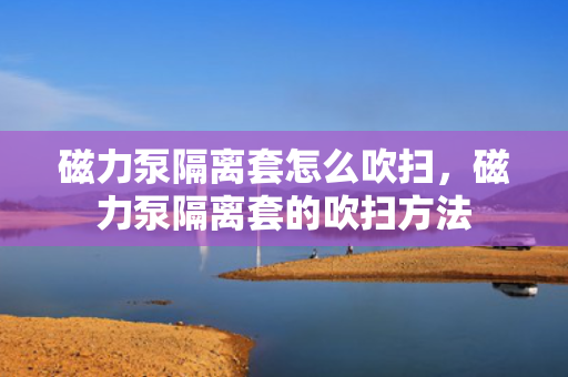 磁力泵隔离套怎么吹扫，磁力泵隔离套的吹扫方法