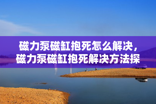 磁力泵磁缸抱死怎么解决，磁力泵磁缸抱死解决方法探讨