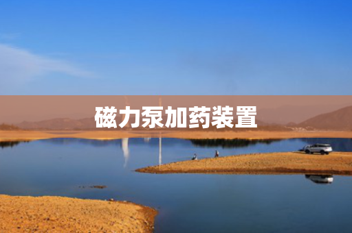 磁力泵加药装置