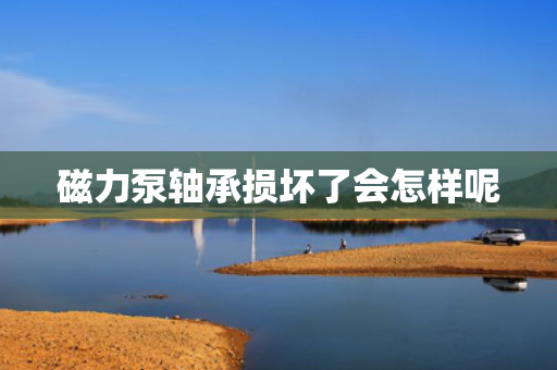 磁力泵轴承损坏了会怎样呢