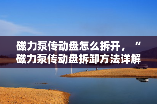磁力泵传动盘怎么拆开，“磁力泵传动盘拆卸方法详解”