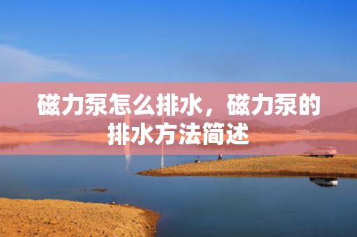 磁力泵怎么排水，磁力泵的排水方法简述