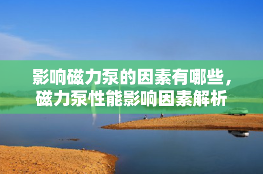 影响磁力泵的因素有哪些，磁力泵性能影响因素解析