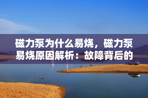 磁力泵为什么易烧，磁力泵易烧原因解析：故障背后的关键因素探讨