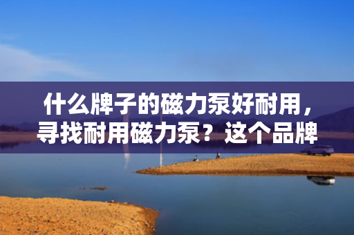 什么牌子的磁力泵好耐用，寻找耐用磁力泵？这个品牌或许是你的首??！