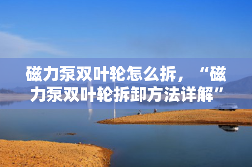 磁力泵双叶轮怎么拆，“磁力泵双叶轮拆卸方法详解”