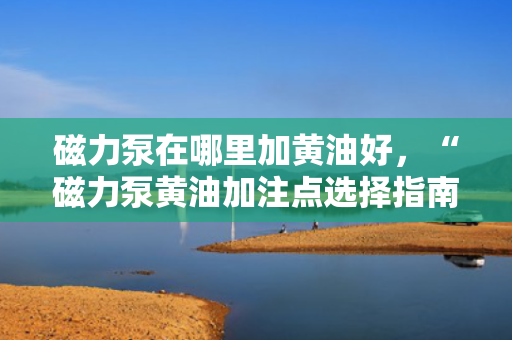 磁力泵在哪里加黄油好，“磁力泵黄油加注点选择指南：确保润滑效果与设备安全”