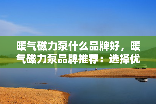 暖气磁力泵什么品牌好，暖气磁力泵品牌推荐：选择优质供暖设备的首选指南