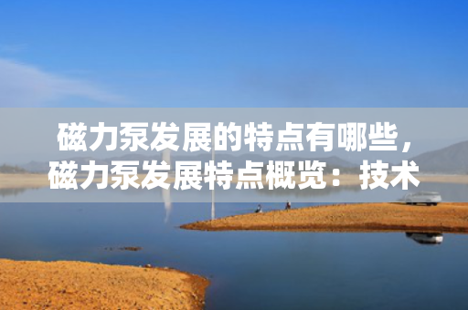 磁力泵发展的特点有哪些，磁力泵发展特点概览：技术创新引领行业进步