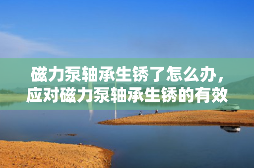 磁力泵轴承生锈了怎么办，应对磁力泵轴承生锈的有效方法