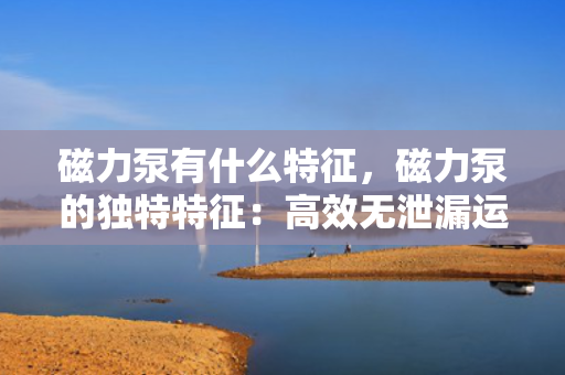 磁力泵有什么特征，磁力泵的独特特征：高效无泄漏运行的关键