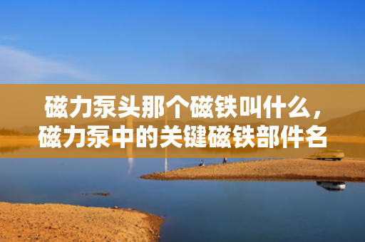 磁力泵头那个磁铁叫什么，磁力泵中的关键磁铁部件名称解析：了解磁力泵头的磁铁组件