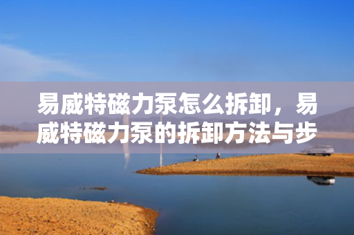 易威特磁力泵怎么拆卸，易威特磁力泵的拆卸方法与步骤解析