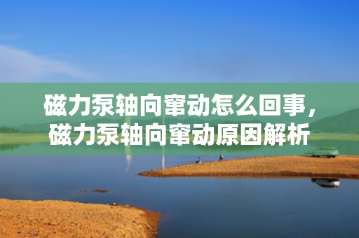 磁力泵轴向窜动怎么回事，磁力泵轴向窜动原因解析