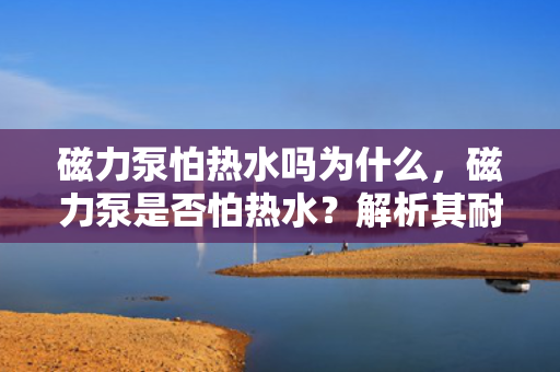磁力泵怕热水吗为什么，磁力泵是否怕热水？解析其耐热性能及原因