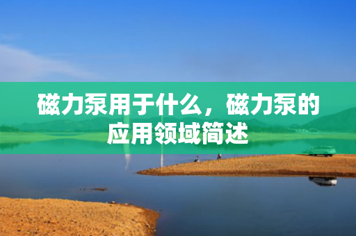 磁力泵用于什么，磁力泵的应用领域简述