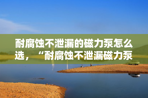 耐腐蚀不泄漏的磁力泵怎么选，“耐腐蚀不泄漏磁力泵选购指南：关键要素与实用技巧”