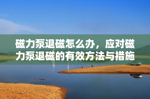 磁力泵退磁怎么办，应对磁力泵退磁的有效方法与措施