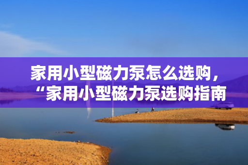 家用小型磁力泵怎么选购，“家用小型磁力泵选购指南：关键要点与实用建议”