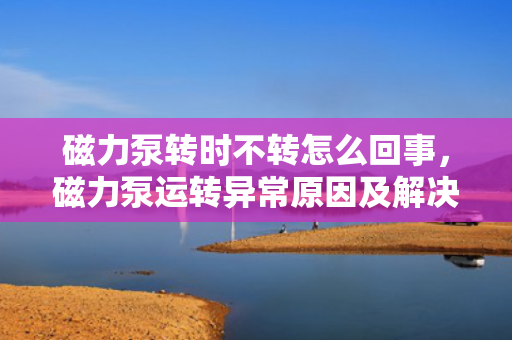 磁力泵转时不转怎么回事，磁力泵运转异常原因及解决方法探究：为何磁力泵在启动时无法正常工作？