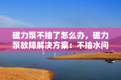 磁力泵不抽了怎么办，磁力泵故障解决方案：不抽水问题的快速诊断与处理