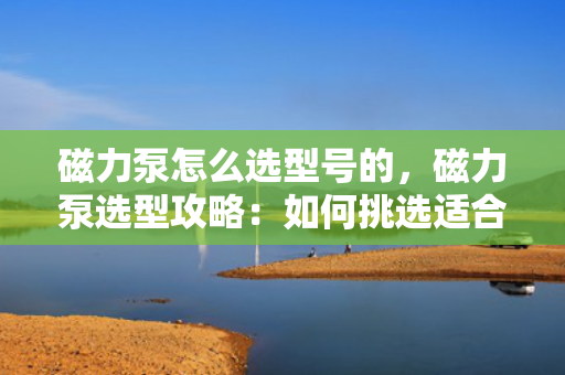 磁力泵怎么选型号的，磁力泵选型攻略：如何挑选适合的磁力泵型号
