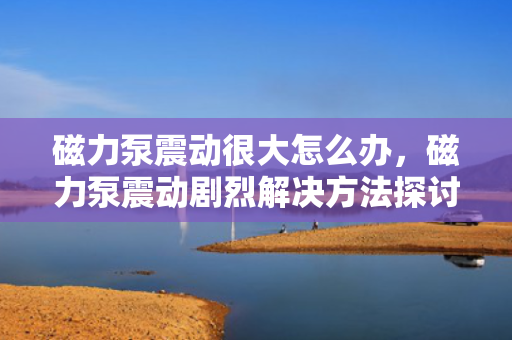 磁力泵震动很大怎么办，磁力泵震动剧烈解决方法探讨