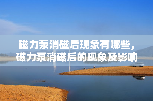磁力泵消磁后现象有哪些，磁力泵消磁后的现象及影响解析