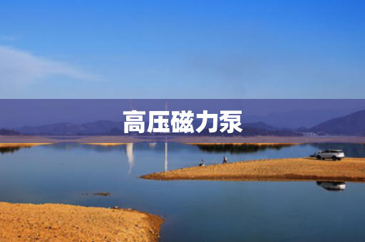 高压磁力泵