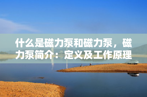 什么是磁力泵和磁力泵，磁力泵简介：定义及工作原理一览