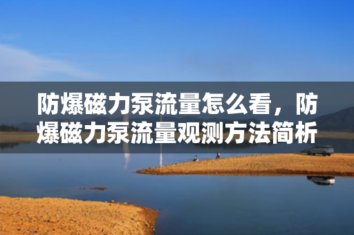 防爆磁力泵流量怎么看，防爆磁力泵流量观测方法简析
