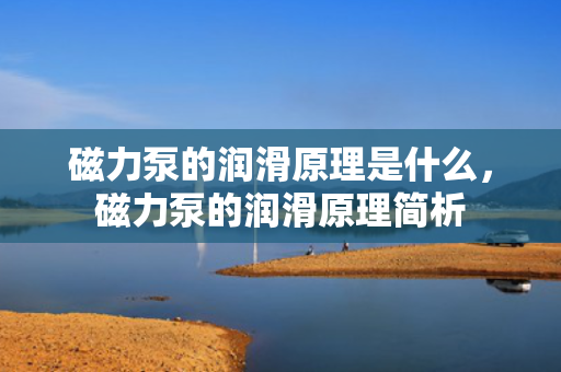 磁力泵的润滑原理是什么，磁力泵的润滑原理简析