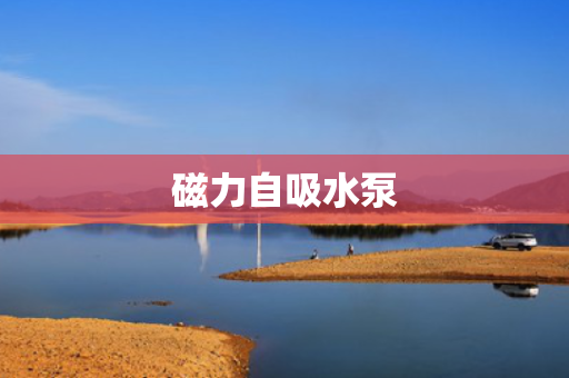磁力自吸水泵