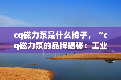 cq磁力泵是什么牌子，“cq磁力泵的品牌揭秘：工业领域的明星产品”